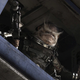 Illustration for article titled 13 Goofy Star Wars Aliens Who Deserve to Be Goofy Jedi